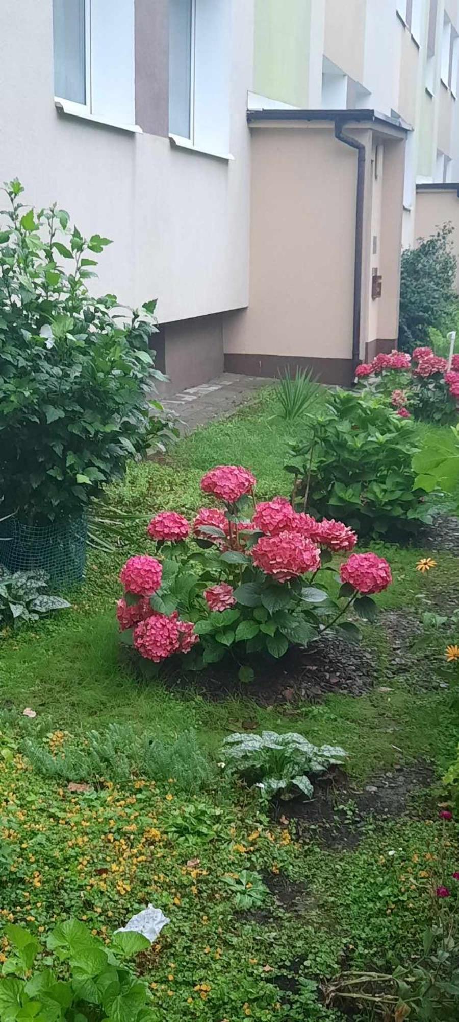 Apartament Jak W Domu Замосць Экстерьер фото